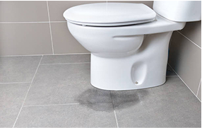 Leaking toilet with a water puddle on the bathroom floor – Bomba Plumbers’ toilet repair service.